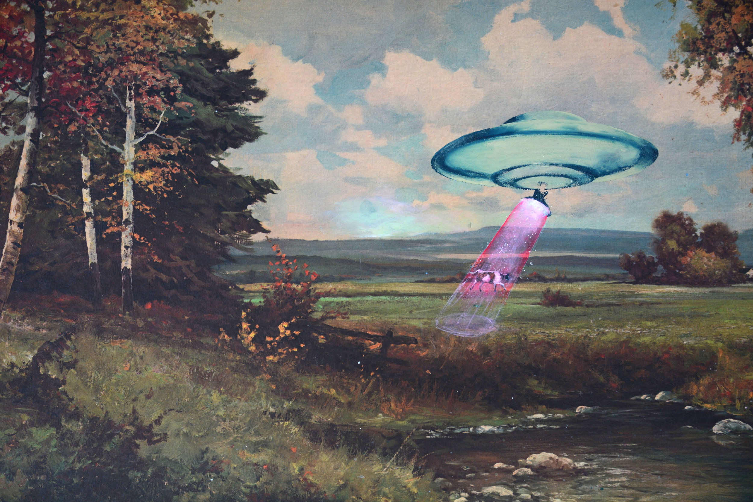 UFO Cow 12x18 — Matt Muirhead